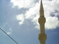 Sarıoğlan Boyalı Mahallesi - 14