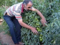 Kayapınar köyü manzaraları